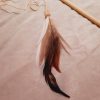 Bewertungen tatzenspass erfahrung katzenangel catchthebirdy